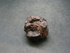 Rare Prophecy Stone Limonite after Pyrite From Egypt - 1.3" - 40.8 Grams