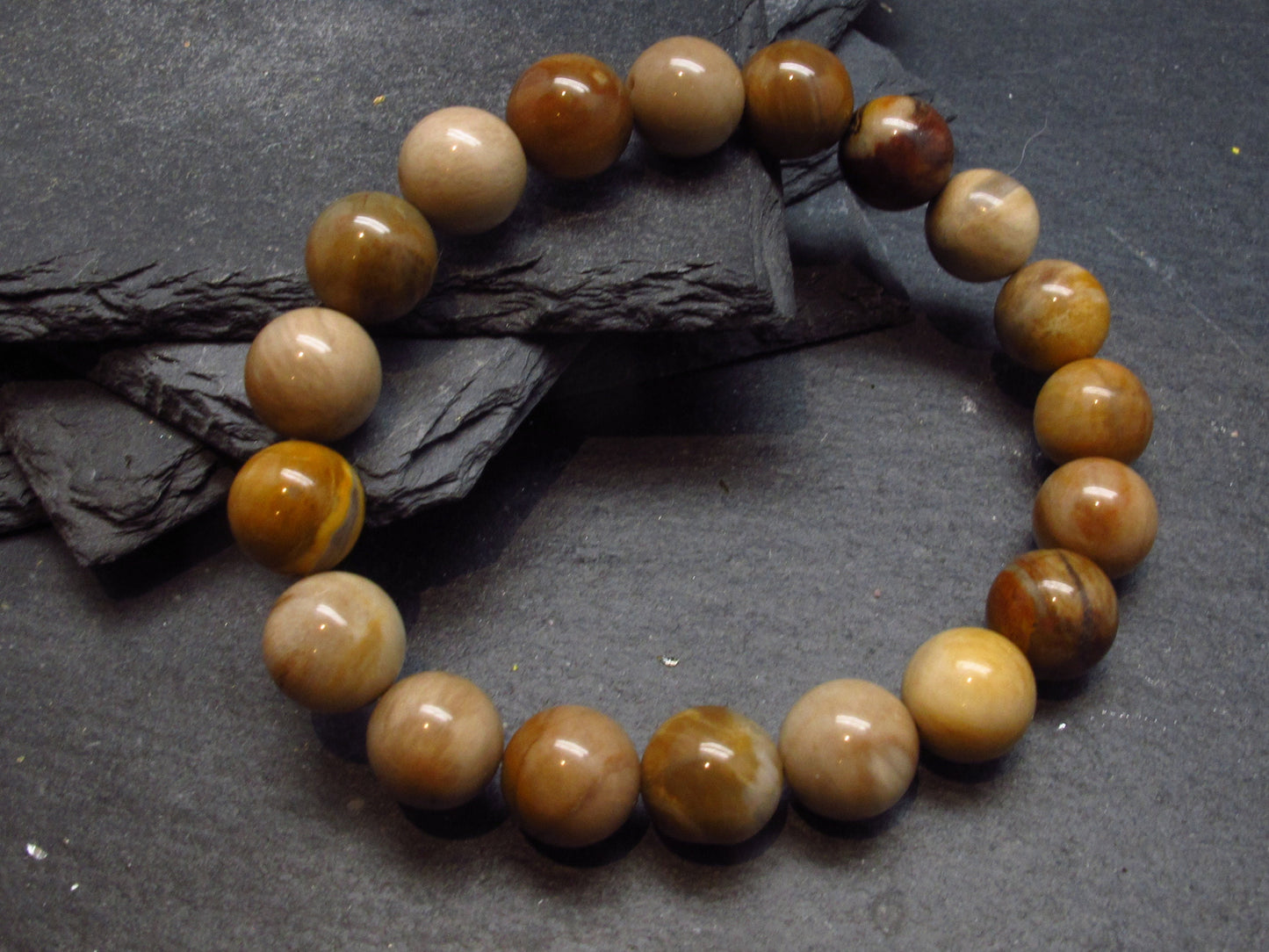 Petrified Wood Genuine Bracelet ~ 7 Inches ~ 10mm Round Beads