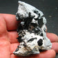 Neptunite on Natrolite Cluster From California - 3.1"