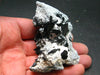 Neptunite on Natrolite Cluster From California - 3.1"