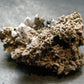Brookite On Quartz Cluster From Arkansas - 50.17 Grams - 2.3"