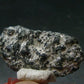 Large Alexandrite Chrysoberyl Crystal From Zimbabwe - 1.5" - 12.20 Grams