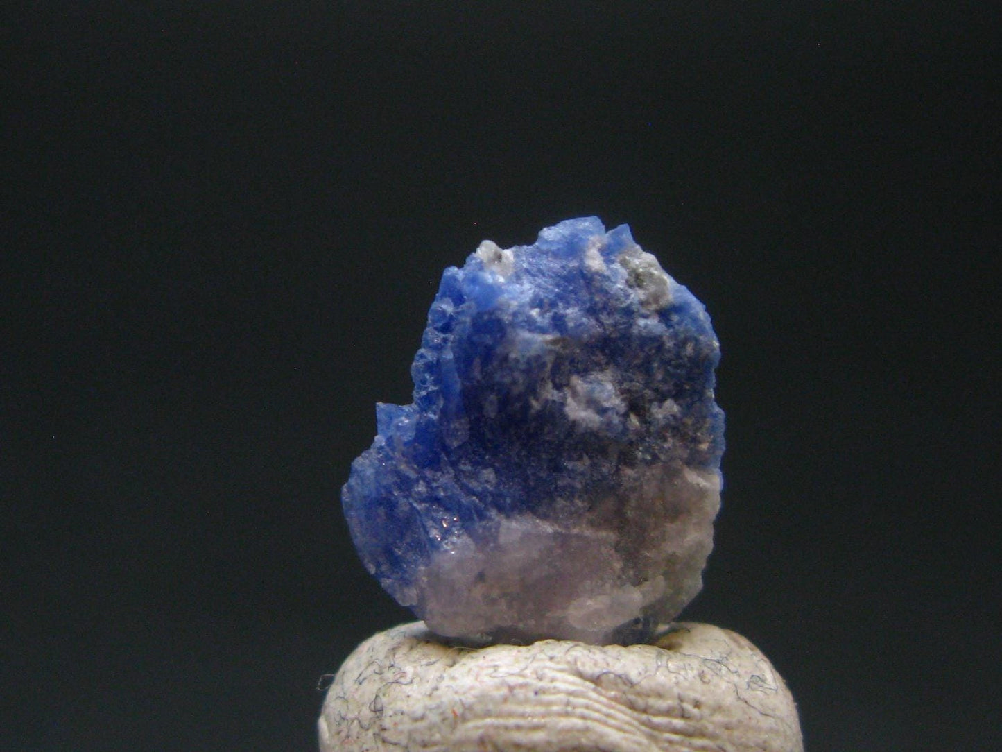 Fine Rare Carletonite Crystal From Mt. St. Hilaire Canada - 0.4" - 0.40 Grams