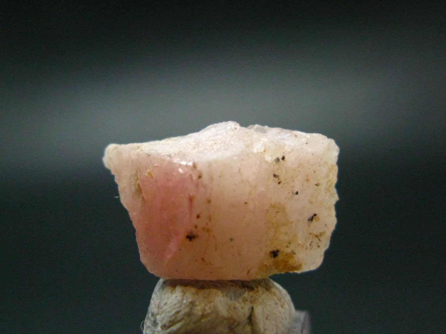 Rare Pezzottaite Crystal from Madagascar - 12.60 Carats - 0.8"