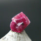 Nice Rare Gem Bixbite Red Emerald Beryl Crystal From Utah USA - 0.66 Carats