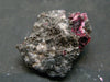 Fine Erythrite Cluster From Morocco - 1.2" - 6.0 Grams