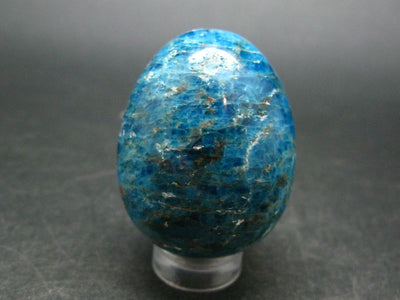 Large Neon Blue Apatite Egg from Madagascar - 54.6 Grams - 1.5"