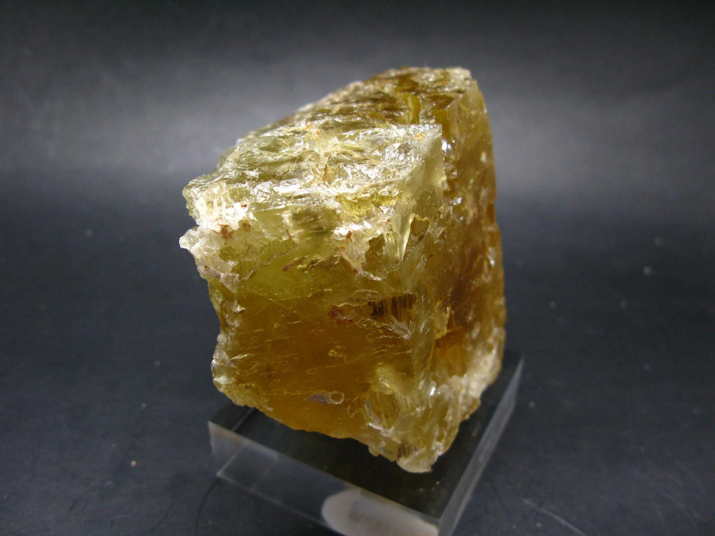Heliodor (Yellow Beryl) Gem Crystal from Brazil - 548 Grams - 3.9"