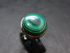 Malachite Silver Ring - 9.20 Grams - Size 7