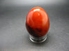 Carnelian Agate Egg From Madagascar - 2.0"