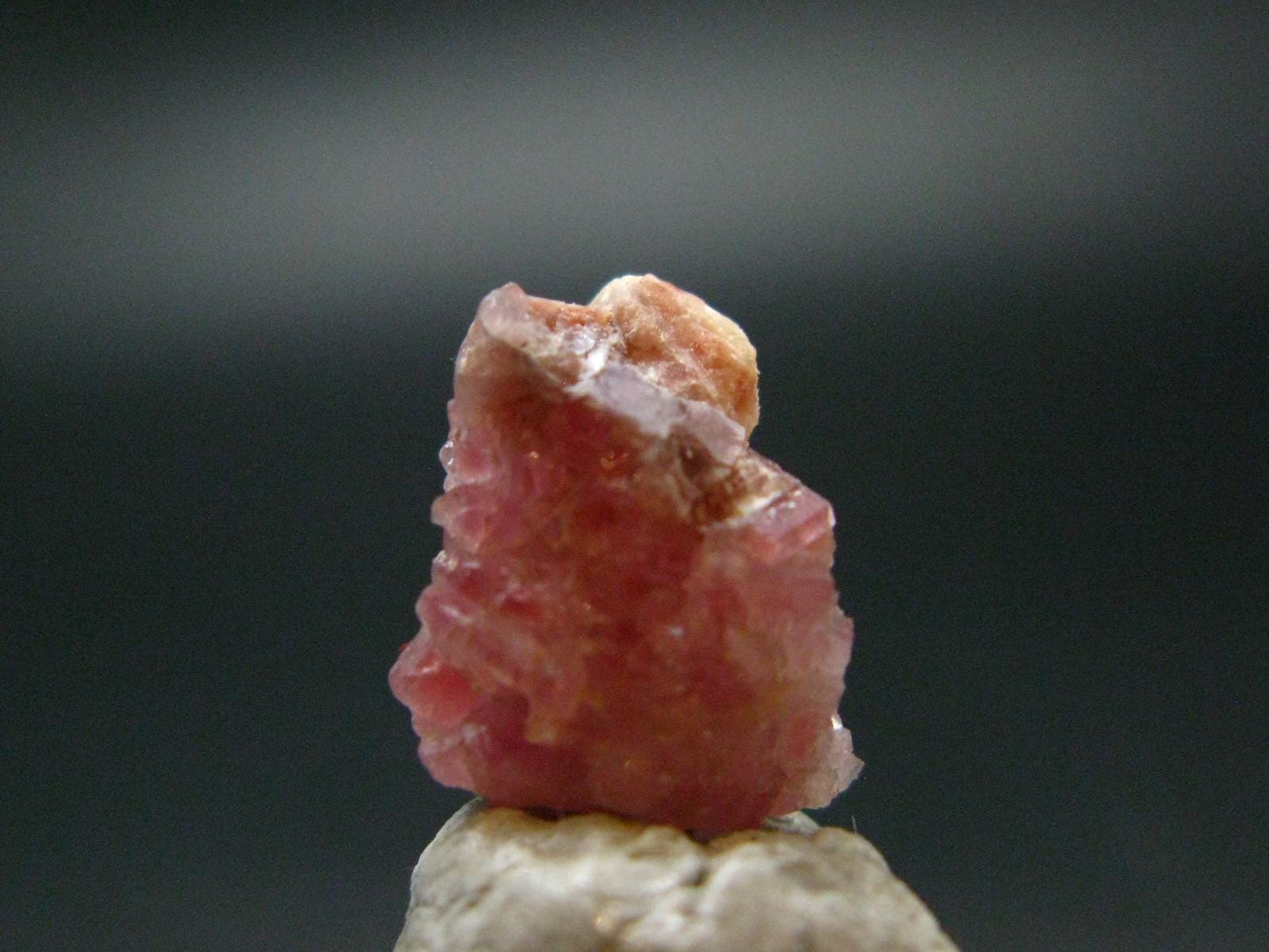 Rare Pezzottaite Crystal from Madagascar - 6.45 Carats - 0.5"