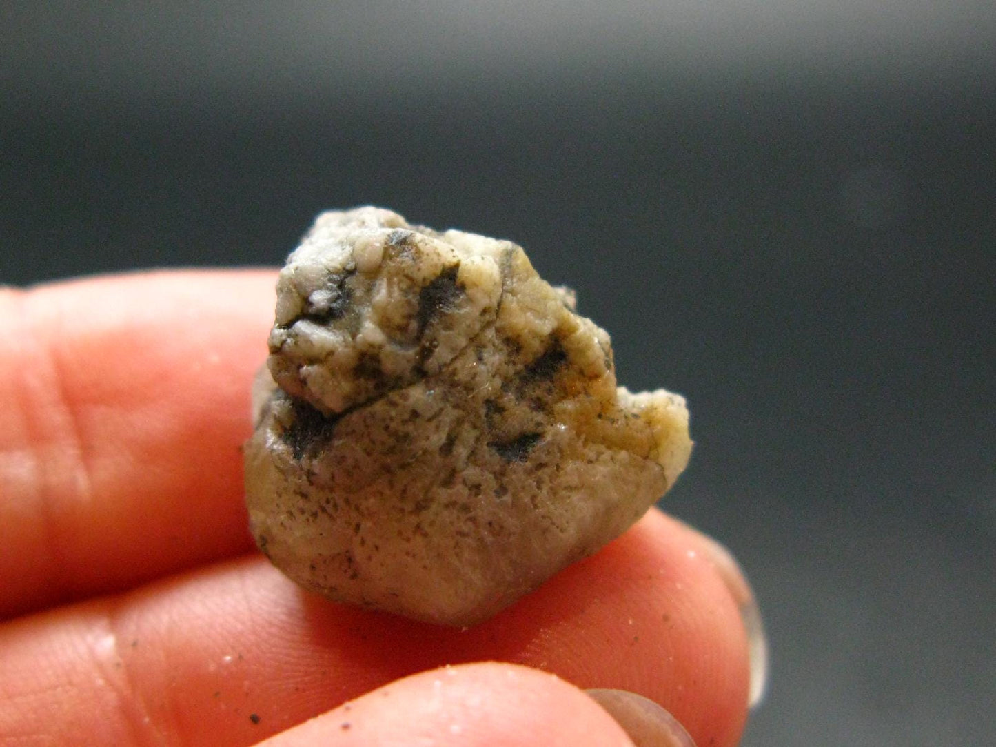 Phenakite Phenacite Crystal From Brazil - 4.18 Grams - 0.7"