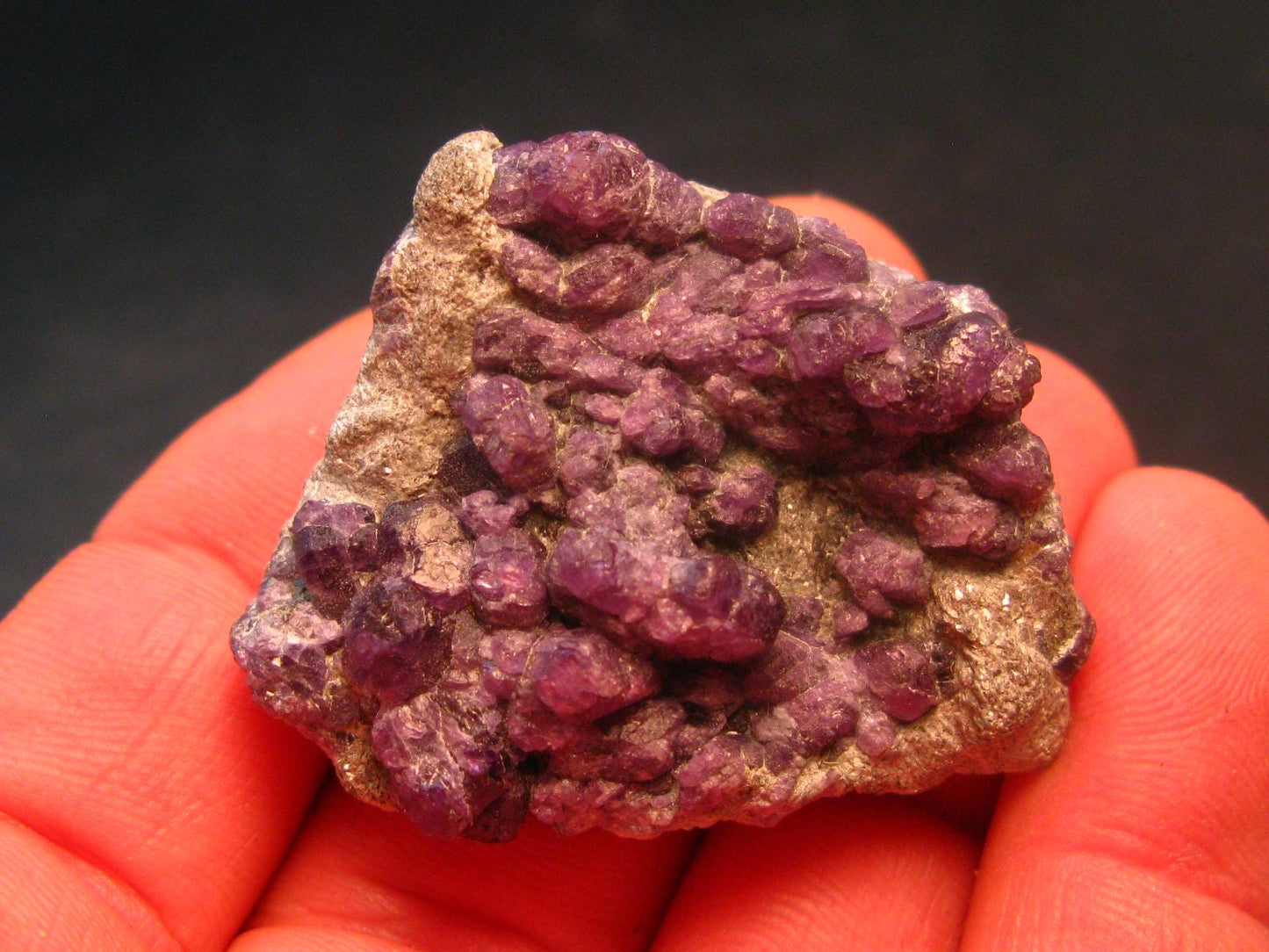Alexandrite Chrysoberyl Cluster From Zimbabwe - 34.39 Grams - 1.7"