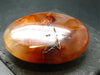 Carnelian Tumbled Stone From Madagascar - 2.6" - 136.0 Grams