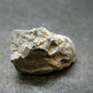 Very Rare Narsarsukite Cluster From Canada - 0.8" - 2.37 Grams