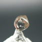 Gem Genuine Diamond Crystal From Congo - 0.41 Carats