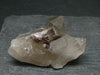 Rare Xenotime Crystal on Quartz from Brazil - 2.2" - 39.1 Grams
