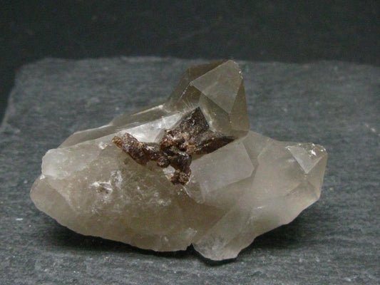 Rare Xenotime Crystal on Quartz from Brazil - 2.2" - 39.1 Grams