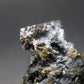 Sperrylite Crystal On Matrix From Russia - 1.3" - Huge 12mm Crystal