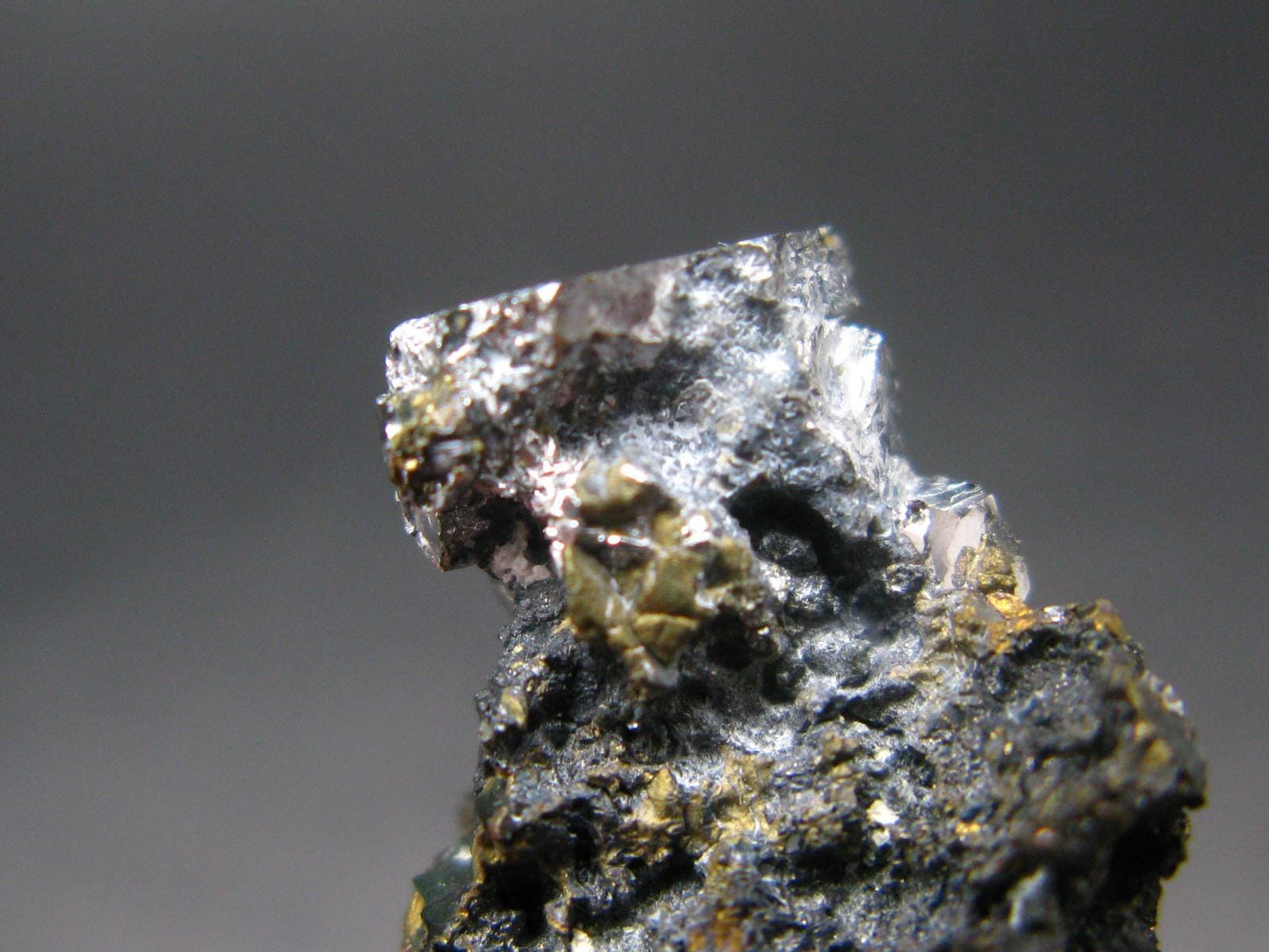 Sperrylite Crystal On Matrix From Russia - 1.3" - Huge 12mm Crystal
