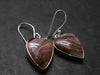Laguna Lace Agate 925 Silver Earrings - 5.65 Grams