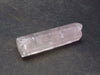 Rare Watermelon Tourmaline Crystal From Brazil - 1.4"
