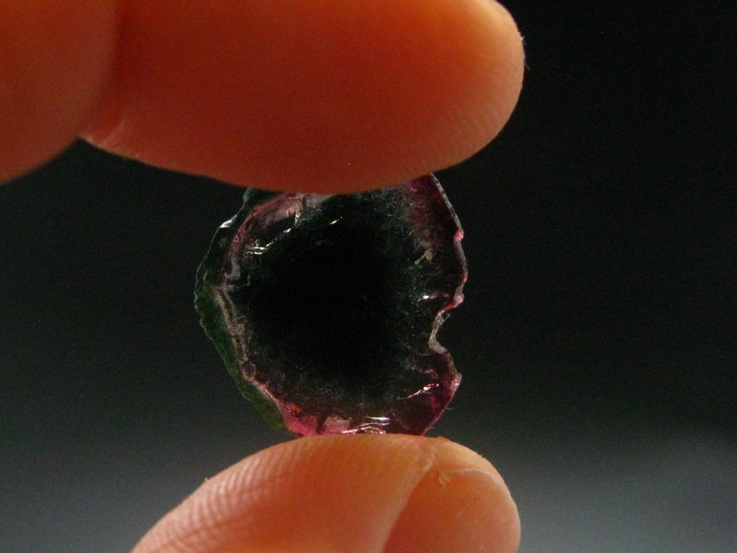 Rare Watermelon Tourmaline Crystal Slice From Brazil - 7.30 Carats