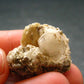 Herderite Cluster from Brazil - 5.55 Grams - 1.0"