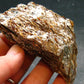 Astrophylite Astrophyllite Cluster From Russia - 3.1" - 59.64 Grams
