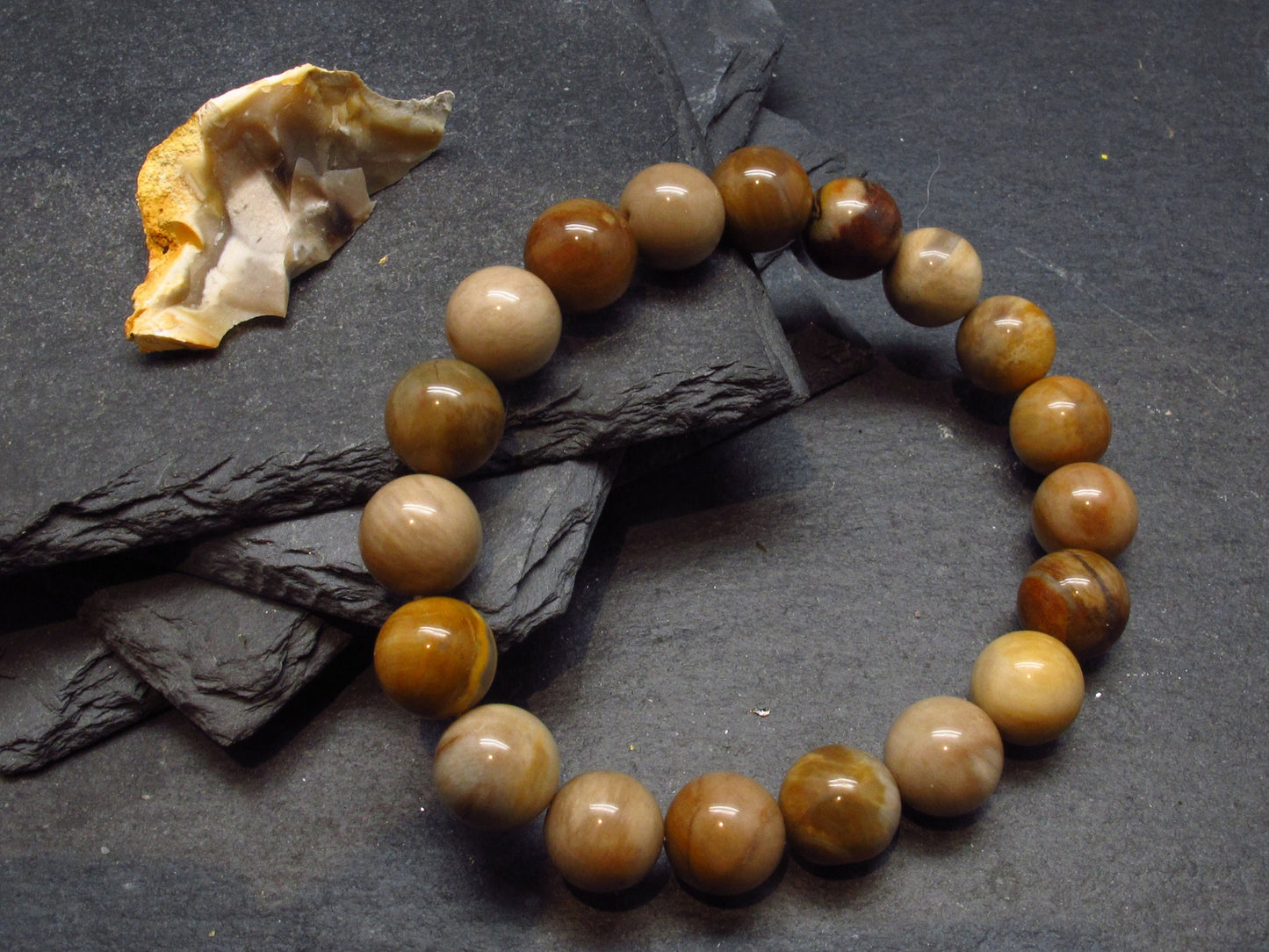 Petrified Wood Genuine Bracelet ~ 7 Inches ~ 10mm Round Beads