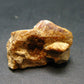 Rare Monazite Crystal From Brazil - 1.1" - 13.31 Grams