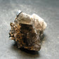 Brookite On Quartz Cluster From Arkansas - 27.74 Grams - 1.2"
