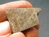 Large Gibeon Meteorite From Namibia - 0.9" - 17.14 Grams