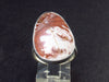 Natural Oval Shape Jasper Cabochon 925 Silver Ring - 5.8 Grams - Size Adjustable