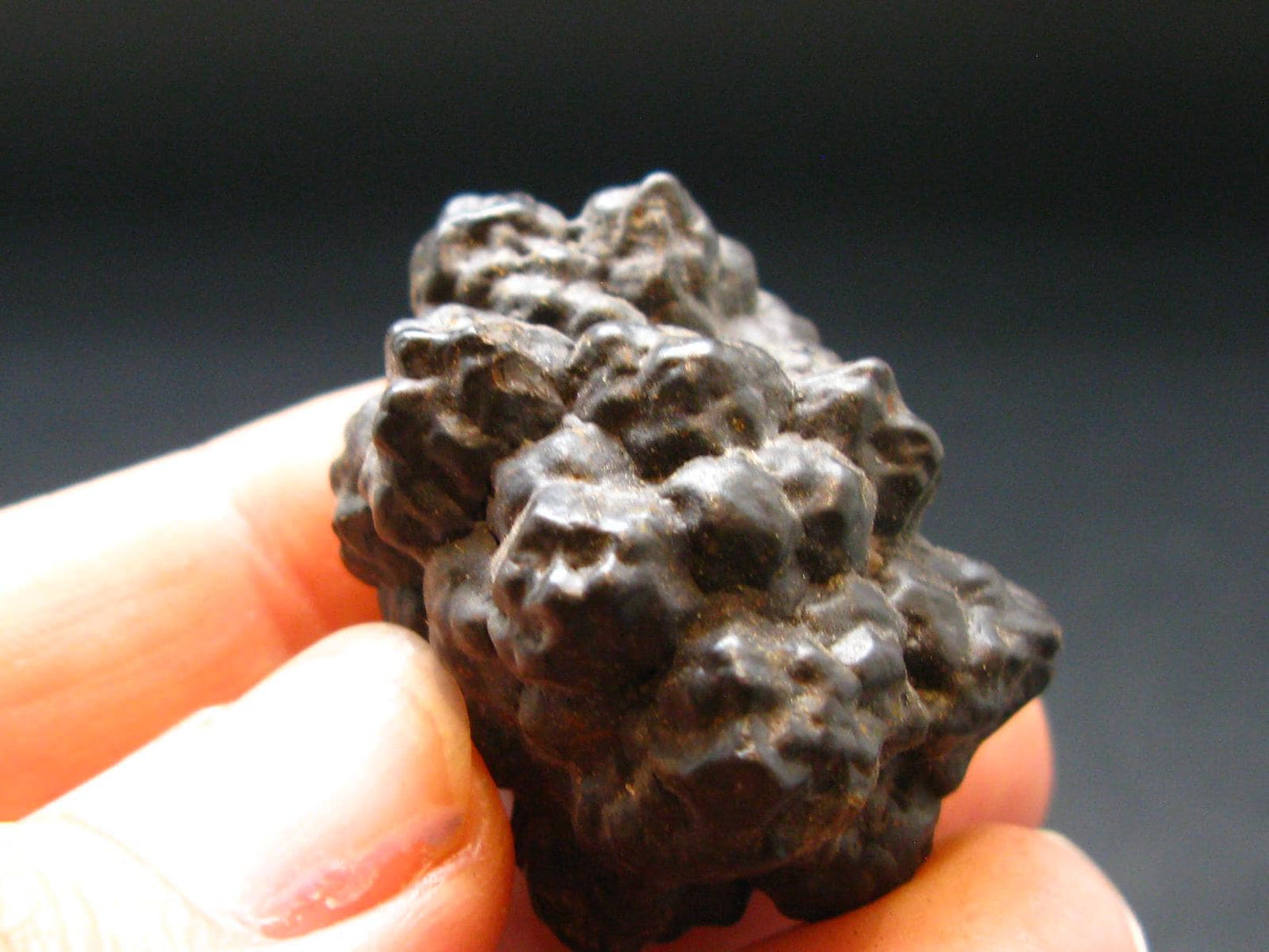 Very rare Z-Stone (Limonite after Marcasite) from Sahara Dessert, Egypt - 1.2" - 23.0 Grams