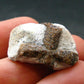 A Perfect Staurolite Crystal from Russia - 1.0" - 4.57 Grams
