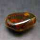 Insects in Amber Piece From Baltic Sea - 5.34 Grams - 1.2"