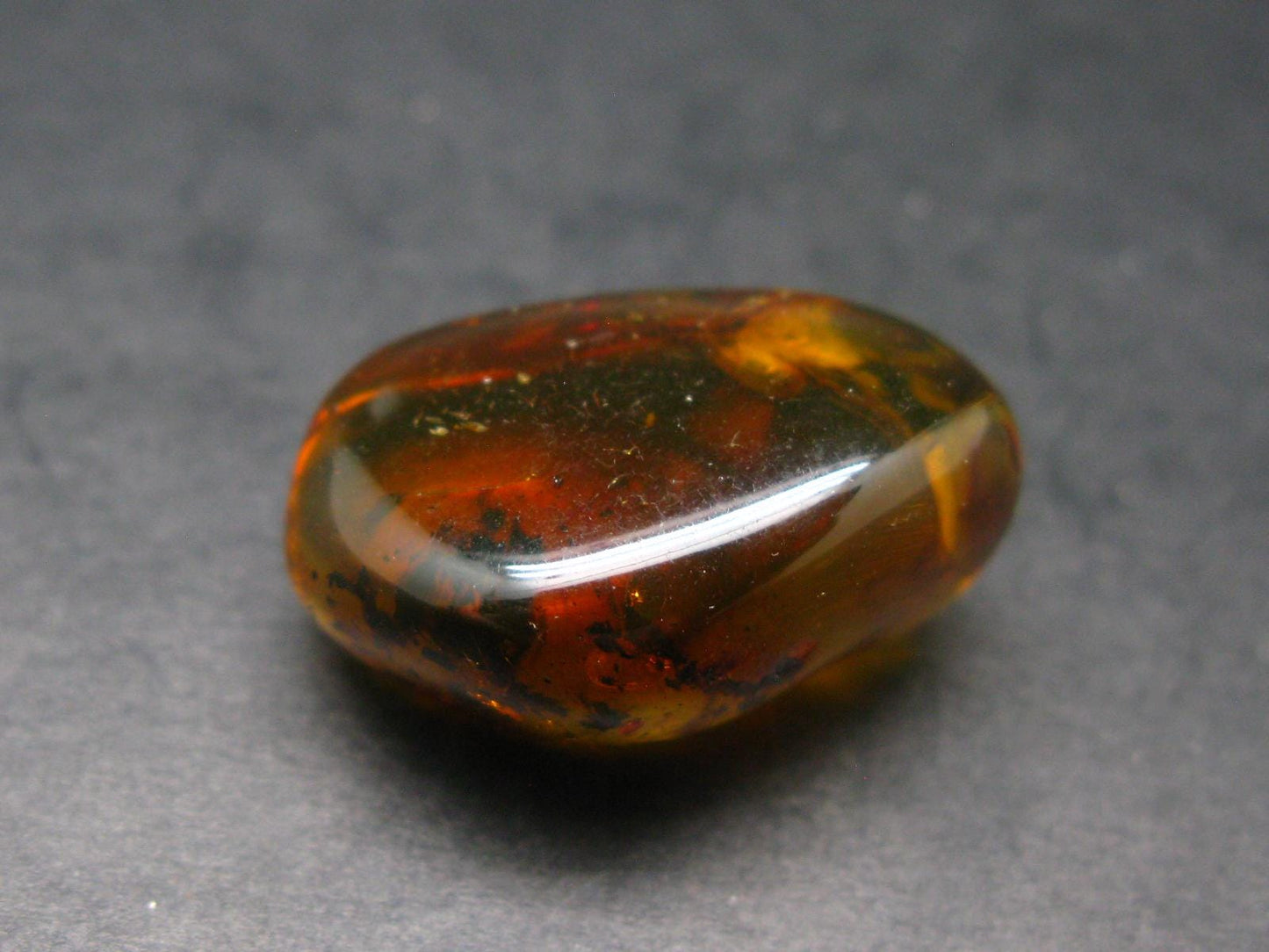 Insects in Amber Piece From Baltic Sea - 5.34 Grams - 1.2"