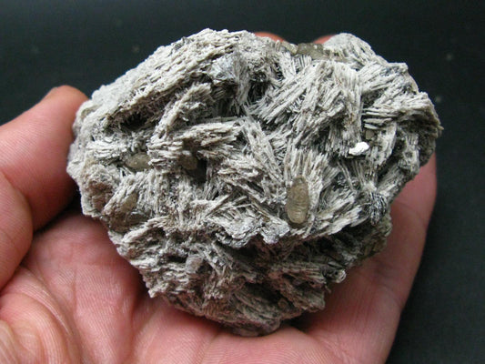 Gem Phenakite Phenacite Crystal on matrix From Ukraine - 2.9"