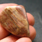 Rare Bustamite Tumbled Stone from South Africa - 1.1" - 12.71 Grams