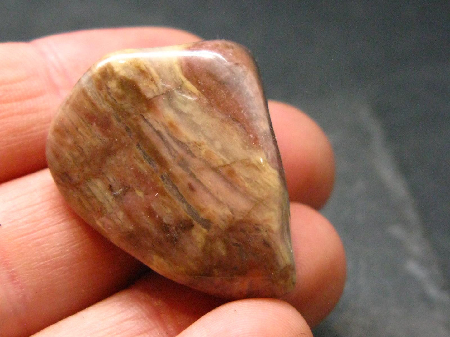 Rare Bustamite Tumbled Stone from South Africa - 1.1" - 12.71 Grams