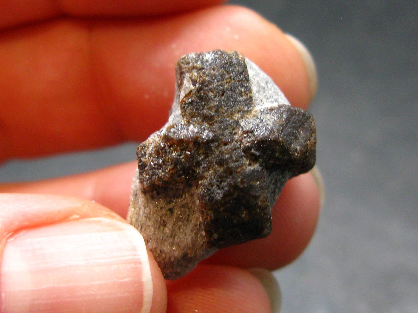 Staurolite Crystal from Russia - 0.8" - 5.40 Grams