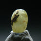Rare Gem Austinite Cut Stone from Mexico - 1.11 Carats