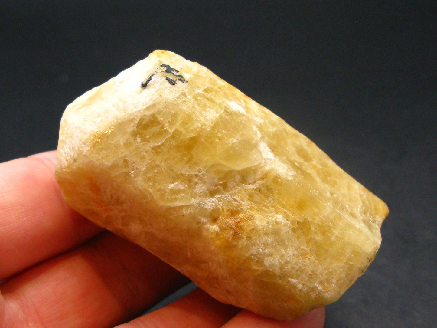 Gem Heliodor Golden Beryl Crystal from Madagascar - 81.54 Grams - 2.1"