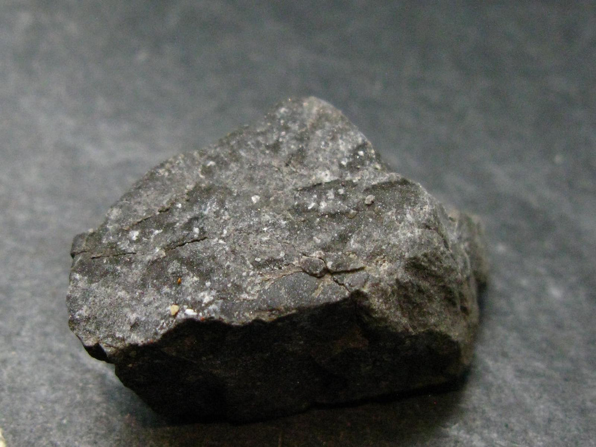 Rare Shammanite Shamanite Master Shamanite Raw Piece From USA - 1.3" - 13.87 Grams