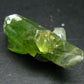 Rare 89.25 Carat Gem Peridot Olivine Cluster from Pakistan - 1.1"