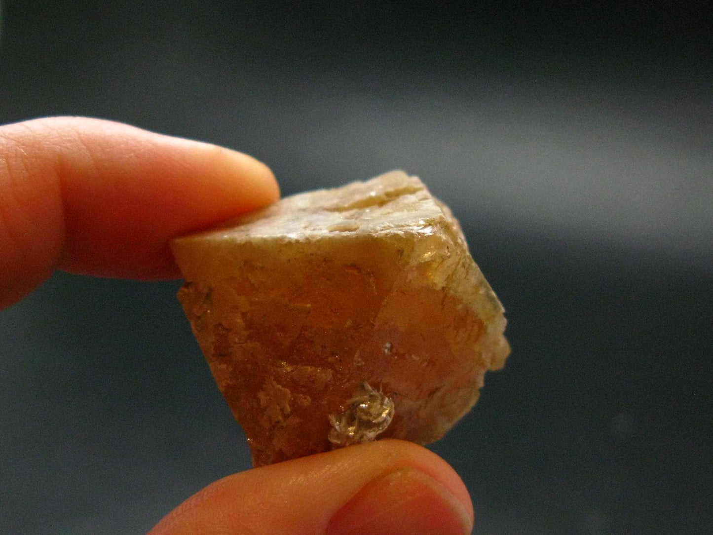 Rare Scheelite Crystal from China - 1.0" - 45.41 Grams