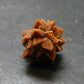 Glendonite (Ikaite after Calcite) Crystal From Russia - 0.9" - 7.35 Grams