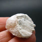Phenakite Phenacite Raw Crystal From Brazil - 36.90 Carats - 1.1"