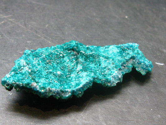 Very Nice Dioptase Cluster from Congo - 2.0" - 8.07 Grams